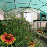 مهندسی تولیدات گیاهی