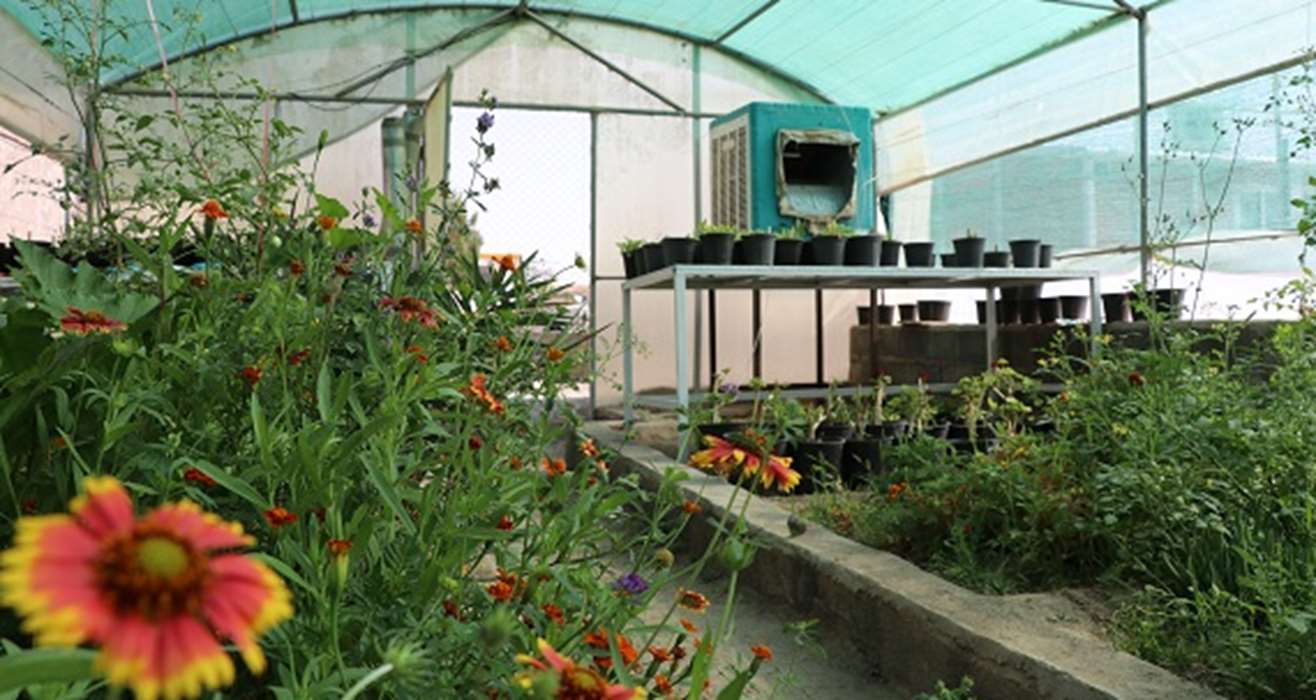 بخش مهندسی تولیدات گیاهی
